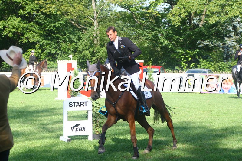 308M9388_Springpferde A.JPG